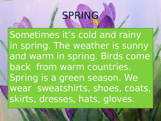 SPRING Sometimes it’s cold and rainy in spring. The weather is sunny and warm in spring. Birds come back from warm countries. Spring is a green season. We wear sweatshirts, shoes, coats, skirts, dresses, hats, gloves . 