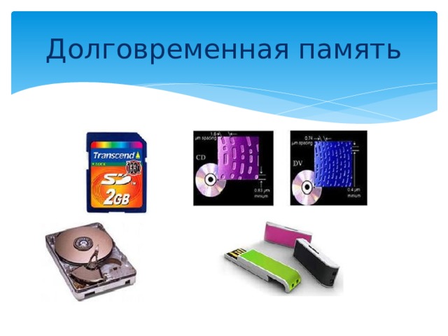 Долговременная память 