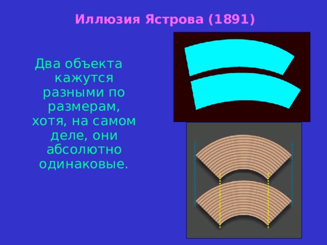 Иллюзия Ястрова (1891) Два объекта кажутся разными по размерам,  хотя, на самом деле, они абсолютно одинаковые. 