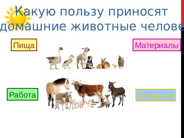  Какую пользу приносят домашние животные человеку? Пища Материалы Работа Общение 