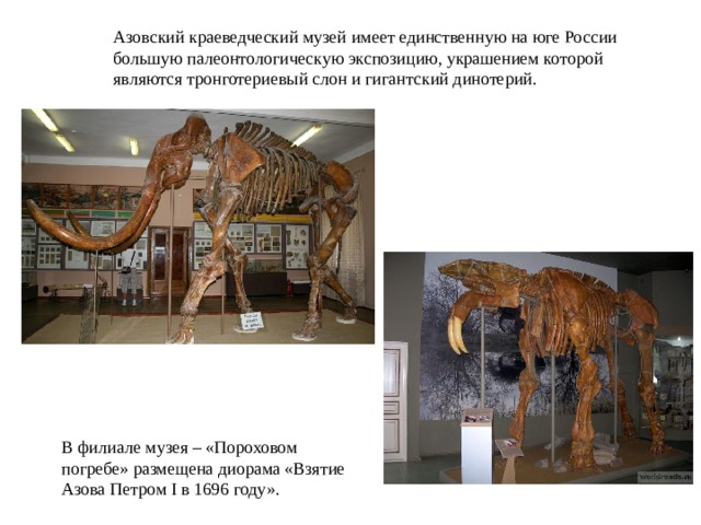 Азовский краеведческий музей имеет единственную на юге России большую палеонтологическую экспозицию, украшением которой являются тронготериевый слон и гигантский динотерий. В филиале музея – «Пороховом погребе» размещена диорама «Взятие Азова Петром I в 1696 году». 