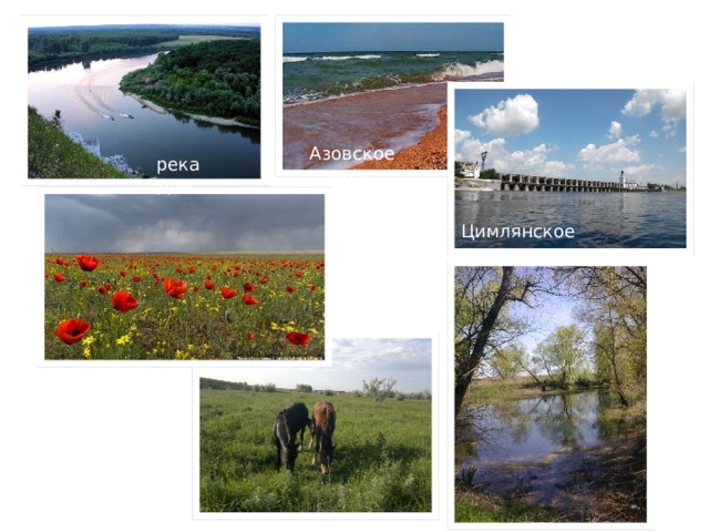 Азовское море река Дон Цимлянское водохранилище 