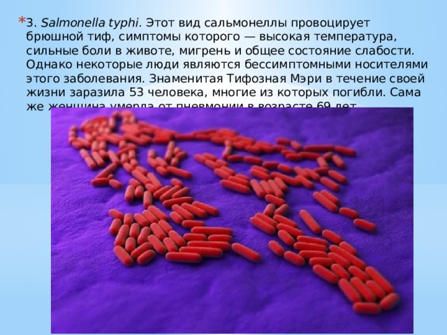 3.  Salmonella typhi . Этот вид сальмонеллы провоцирует брюшной тиф, симптомы которого — высокая температура, сильные боли в животе, мигрень и общее состояние слабости. Однако некоторые люди являются бессимптомными носителями этого заболевания. Знаменитая Тифозная Мэри в течение своей жизни заразила 53 человека, многие из которых погибли. Сама же женщина умерла от пневмонии в возрасте 69 лет 