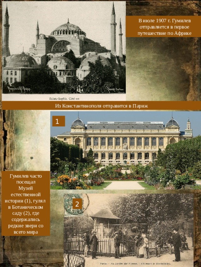 В июле 1907 г. Гумилев отправляется в первое путешествие по Африке Из Константинополя отправится в Париж 1 Гумилев часто посещал Музей естественной истории (1), гулял в Ботаническом саду (2), где содержались редкие звери со всего мира 2 