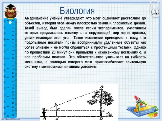 Оценить расстояние. Предтем с которым измеряют участок.