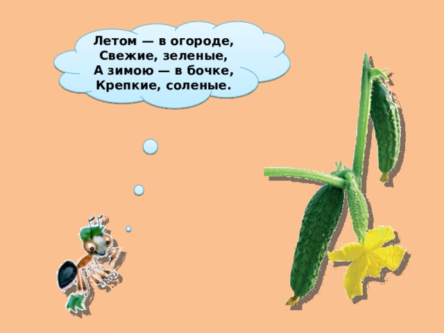 Летом — в огороде,  Свежие, зеленые,  А зимою — в бочке,  Крепкие, соленые. 