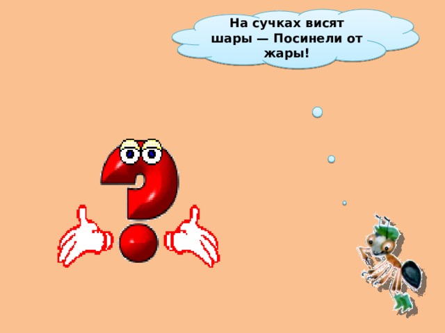 На сучках висят шары — Посинели от жары! 