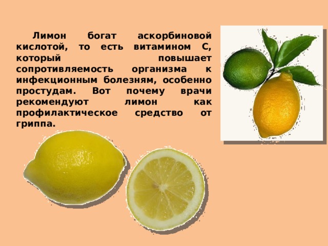  Лимон богат аскорбиновой кислотой, то есть витамином С, который повышает сопротивляемость организма к инфекционным болезням, особенно простудам. Вот почему врачи рекомендуют лимон как профилактическое средство от гриппа. 