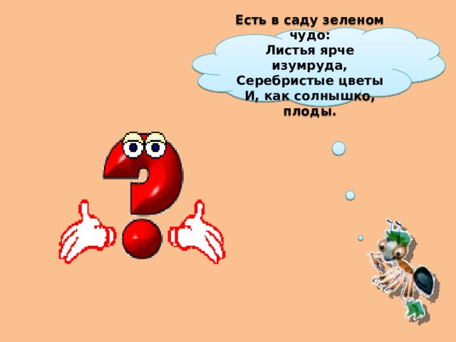 Есть в саду зеленом чудо:  Листья ярче изумруда,  Серебристые цветы  И, как солнышко, плоды. 