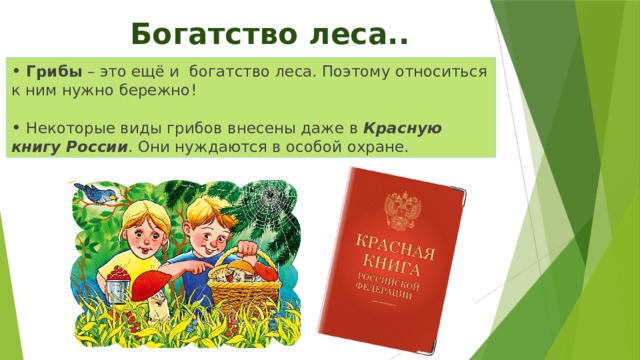 Богатство леса.. • Грибы – это ещё и богатство леса. Поэтому относиться к ним нужно бережно! • Некоторые виды грибов внесены даже в Красную книгу России . Они нуждаются в особой охране. 