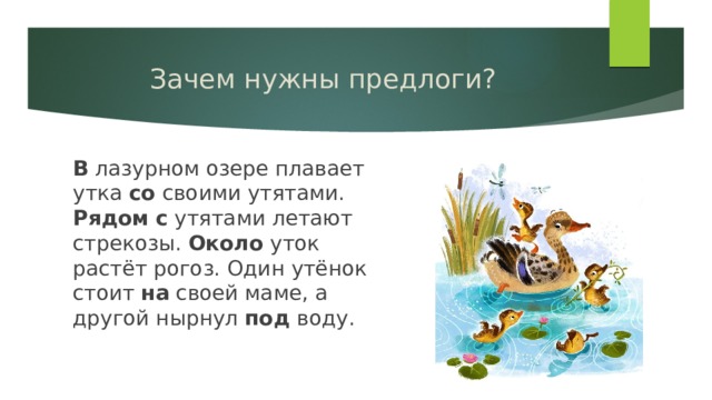 Зачем нужны предлоги? В лазурном озере плавает утка со своими утятами. Рядом  с утятами летают стрекозы. Около уток растёт рогоз. Один утёнок стоит на своей маме, а другой нырнул под воду. 