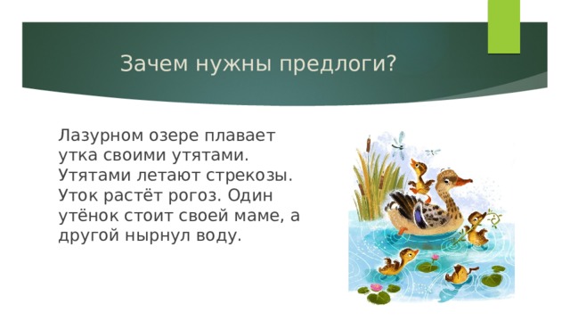 Зачем нужны предлоги? Лазурном озере плавает утка своими утятами. Утятами летают стрекозы. Уток растёт рогоз. Один утёнок стоит своей маме, а другой нырнул воду. 