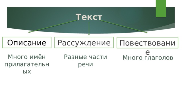 Текст Описание Рассуждение Повествование Много имён прилагательных Разные части речи Много глаголов 