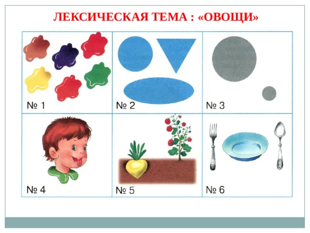 ЛЕКСИЧЕСКАЯ ТЕМА : «ОВОЩИ» 