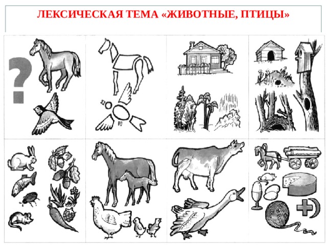 ЛЕКСИЧЕСКАЯ ТЕМА «ЖИВОТНЫЕ, ПТИЦЫ» 