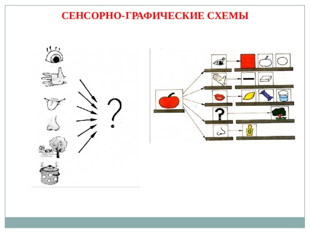 СЕНСОРНО-ГРАФИЧЕСКИЕ СХЕМЫ 