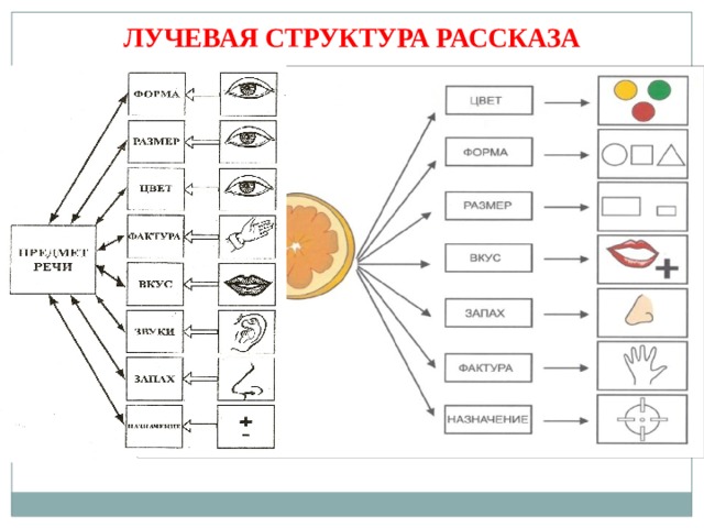 Расскажи структуру. Структура рассказа. Сенсорно-графические схемы. Лучевая структура рассказа. Структура истории рассказа.