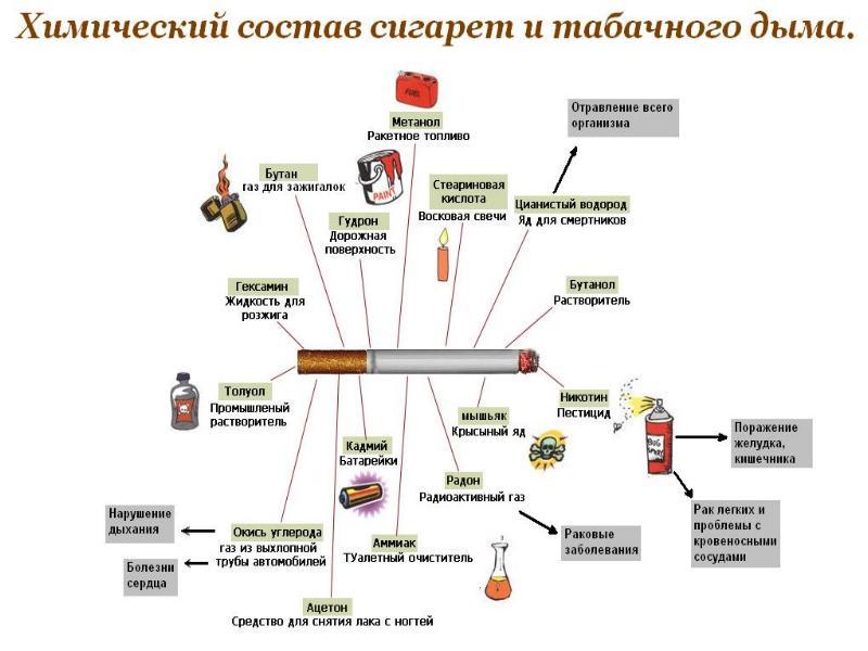 Фото из чего состоит сигарета