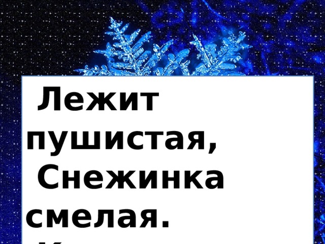  Лежит пушистая,  Снежинка смелая.  Какая чистая,  Какая белая! 