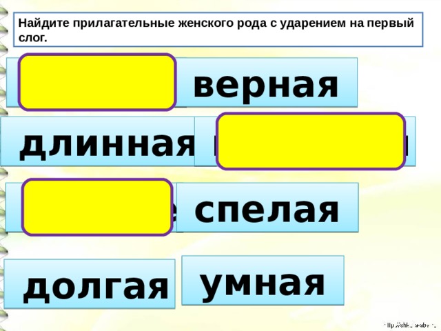 Найдите прилагательные женского рода с ударением на первый слог.  мелкий  верная  длинная  короткий  разные  спелая  умная  долгая 