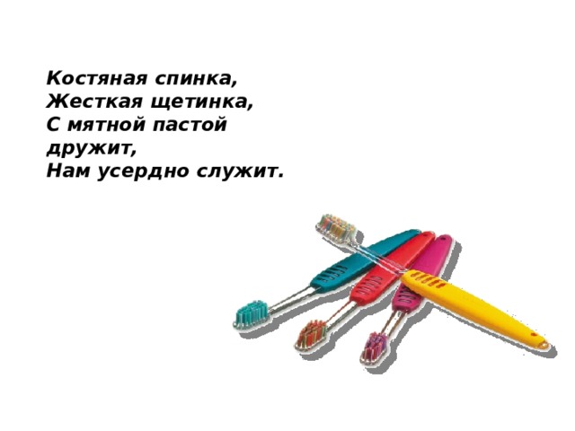 Костяная спинка,  Жесткая щетинка,  С мятной пастой дружит,  Нам усердно служит.  