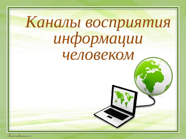 Каналы восприятия информации человеком 