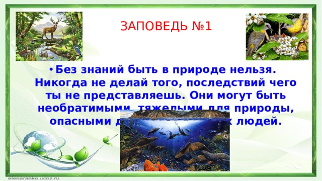 ЗАПОВЕДЬ №1 Без знаний быть в природе нельзя. Никогда не делай того, последствий чего ты не представляешь. Они могут быть необратимыми, тяжелыми для природы, опасными для тебя, для всех людей.  