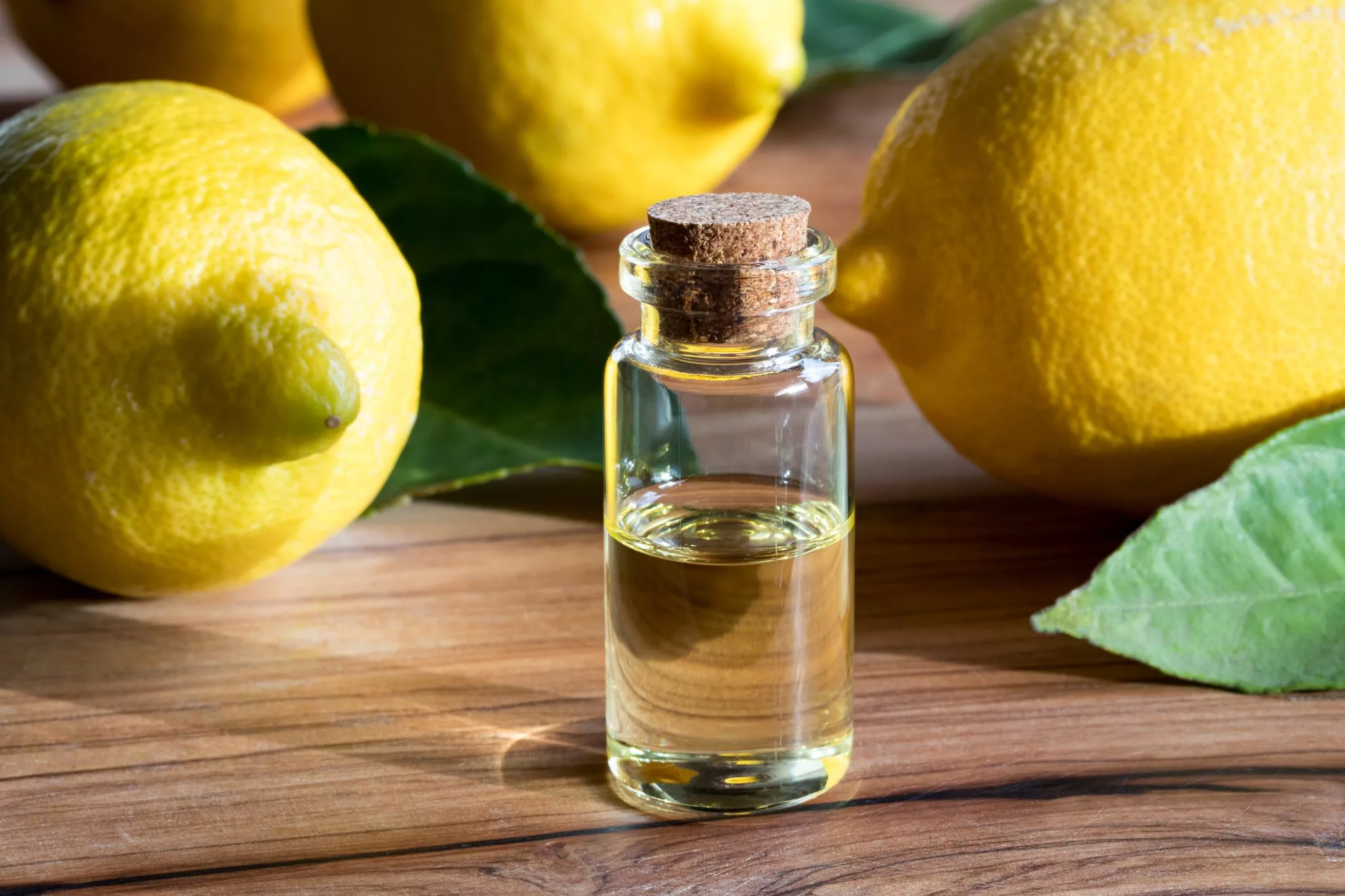 лимон мед раст масло фото 109