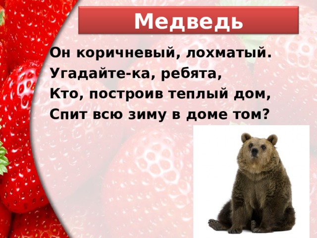 Медведь Он коричневый, лохматый. Угадайте-ка, ребята, Кто, построив теплый дом, Спит всю зиму в доме том? 