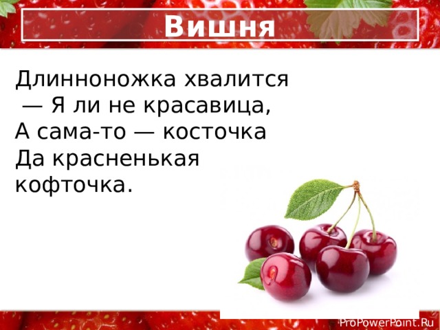 Вишня Длинноножка хвалится — Я ли не красавица, А сама-то — косточка Да красненькая кофточка. 