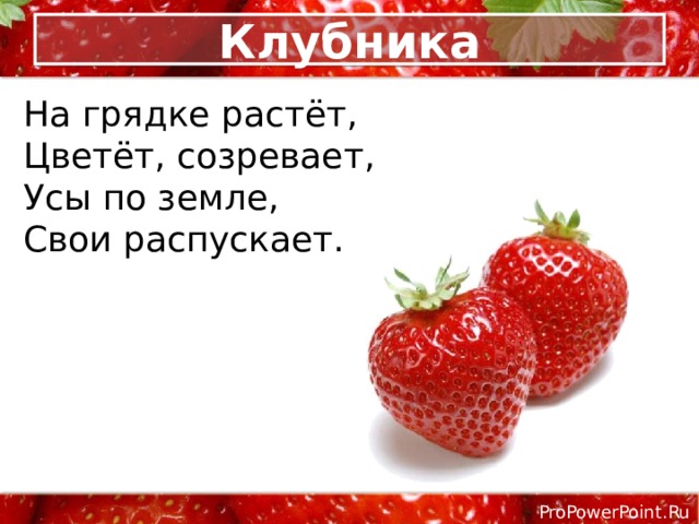 Клубника На грядке растёт, Цветёт, созревает, Усы по земле, Свои распускает. 