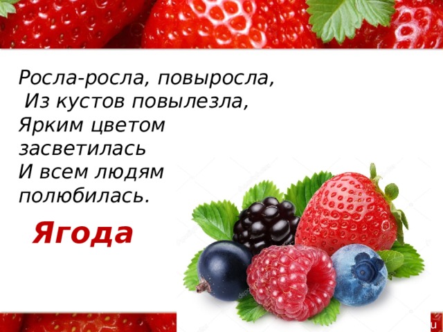 Росла-росла, повыросла,  Из кустов повылезла, Ярким цветом засветилась И всем людям полюбилась. Ягода 