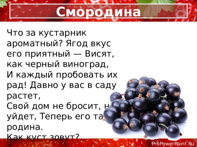 Смородина Что за кустарник ароматный? Ягод вкус его приятный — Висят, как черный виноград, И каждый пробовать их рад! Давно у вас в саду растет, Свой дом не бросит, не уйдет, Теперь его там родина. Как куст зовут?… 