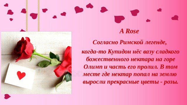  A Rose Согласно Римской легенде, когда-то Купидон нёс вазу сладкого божественного нектара на горе Олимп и часть его пролил. В том месте где нектар попал на землю выросли прекрасные цветы - розы. 