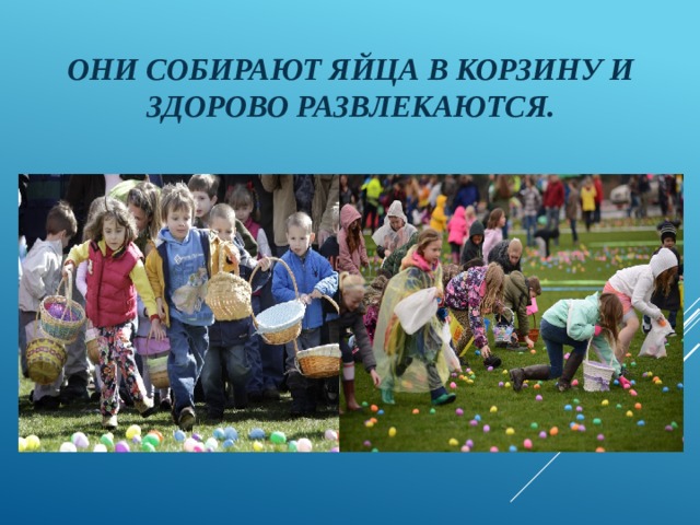 Они собирают яйца в корзину и здорово развлекаются. 