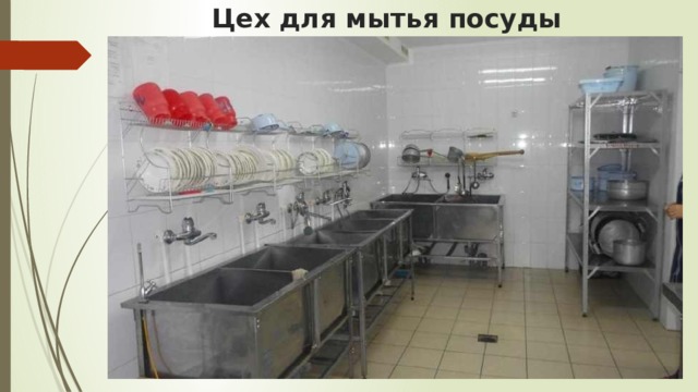 Цех для мытья посуды 