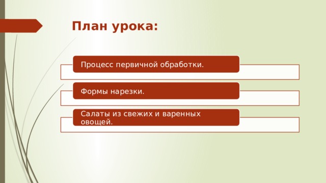 План урока: Процесс первичной обработки. Формы нарезки. Салаты из свежих и варенных овощей. 