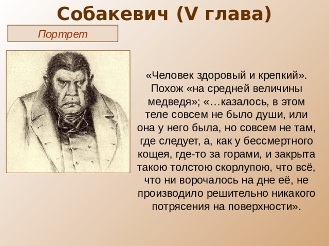 Собакевич ( V глава) Портрет «Человек здоровый и крепкий». Похож «на средней величины медведя»; «…казалось, в этом теле совсем не было души, или она у него была, но совсем не там, где следует, а, как у бессмертного кощея, где-то за горами, и закрыта такою толстою скорлупою, что всё, что ни ворочалось на дне её, не производило решительно никакого потрясения на поверхности». 