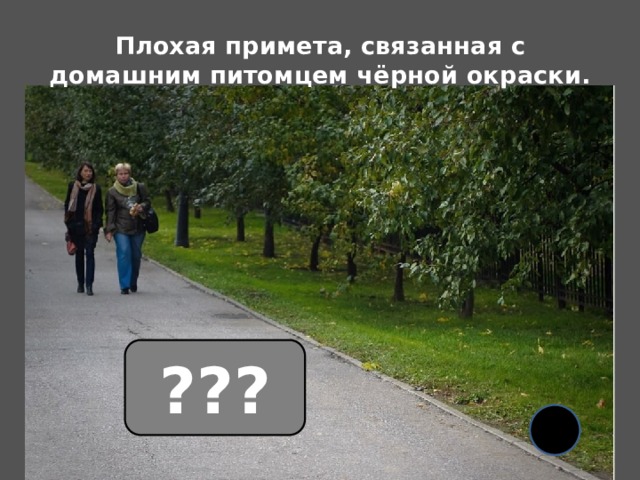 Плохая примета, связанная с домашним питомцем чёрной окраски. ??? 