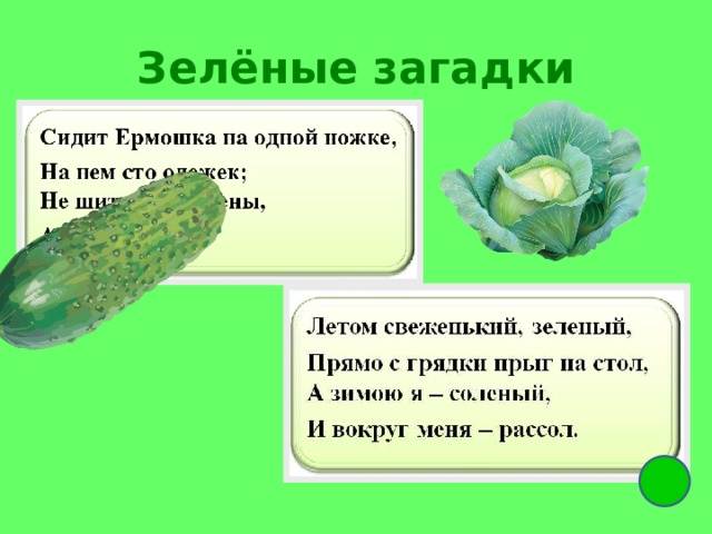 Зелёные загадки 