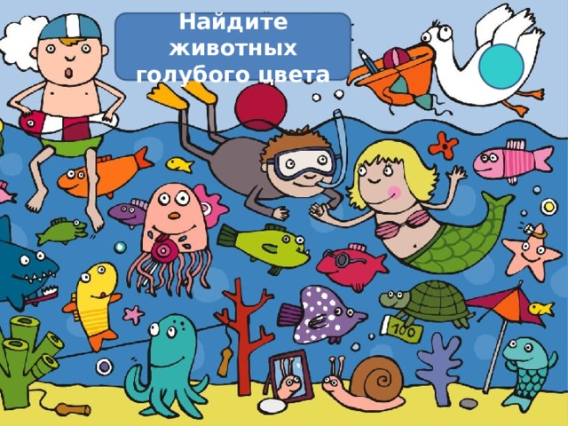 Найдите животных голубого цвета 