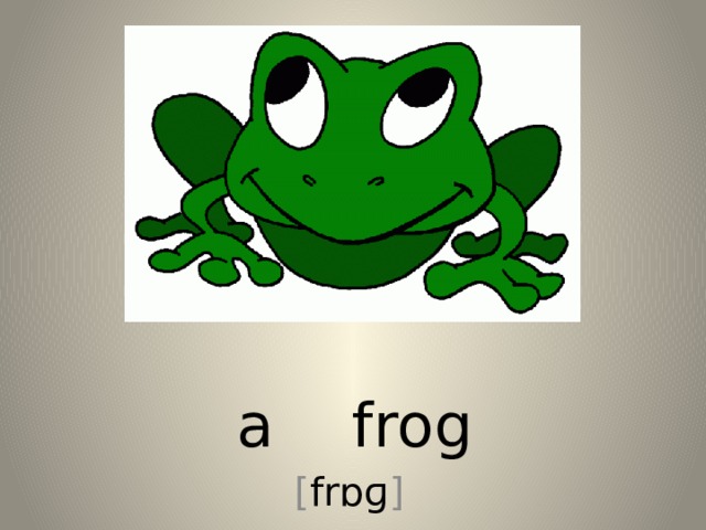 a frog [ frɒɡ ] 
