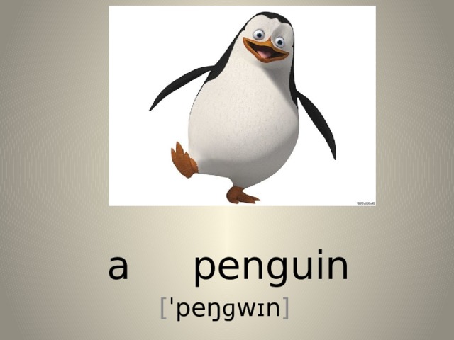 a penguin [ ˈpeŋ ɡ w ɪ n ] 