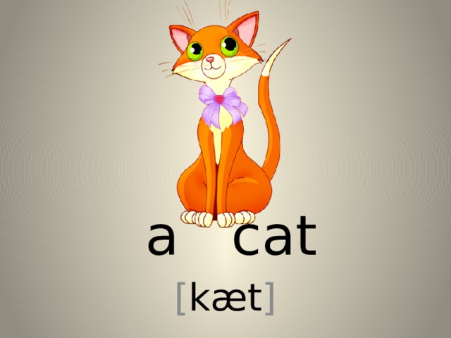 a cat [ kæt ] 