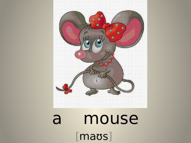 a mouse [ maʊs ] 