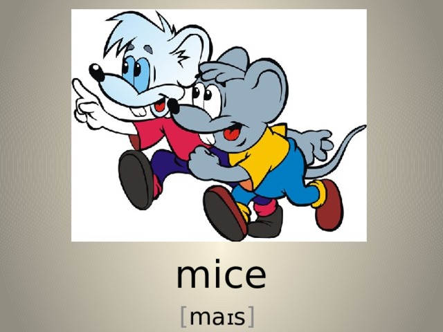 mice [ ma ɪ s ] 