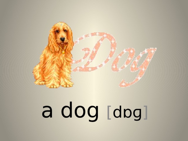 a dog [ dɒɡ ] 