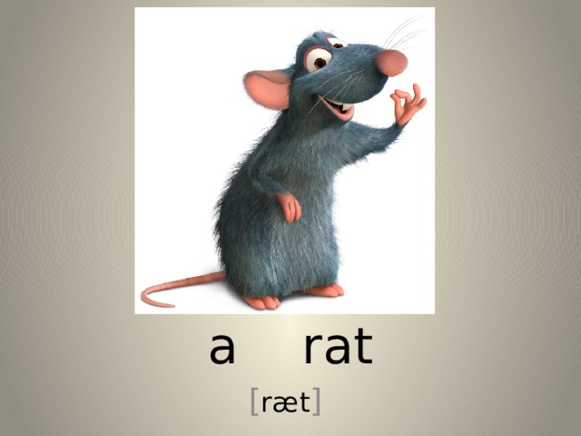 a rat [ ræt ] 