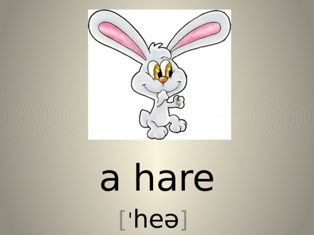 a hare [ ˈ heə ] 