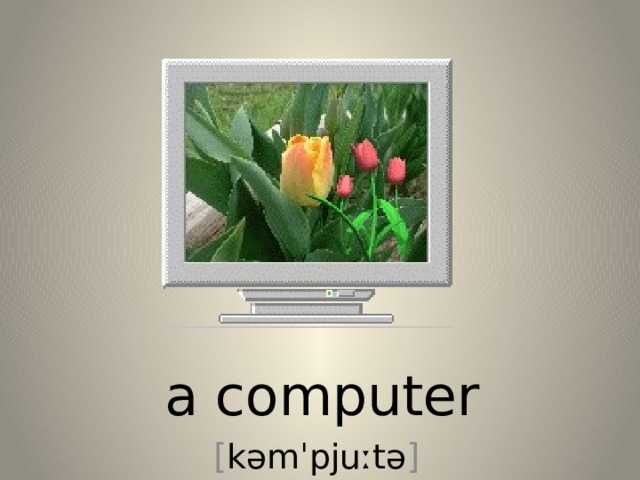 a computer [ kəmˈpjuːtə ] 